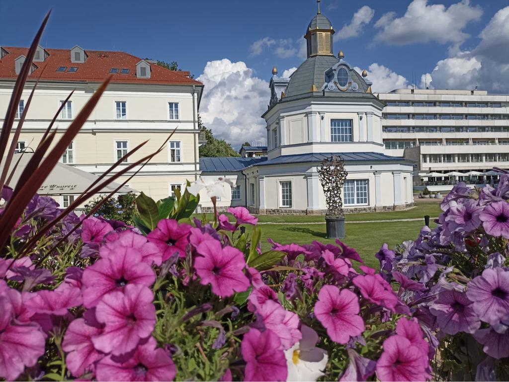 mesto Turčianske Teplice krásne kvety, trávnik, budova, železná socha