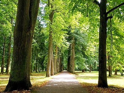 park small